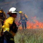 Um diagrama que mostrou um ranking dos tempos de incêndio desde 1993, no qual a porcentagem de precipitação normal foi queimada com a estação de incêndio. Desde 1993, oito dos 10 tempos de incêndio florestal mais suaves da Califórnia chegaram a invernos mais úmidos. E sete dos dez piores chegaram a invernos mais secos.