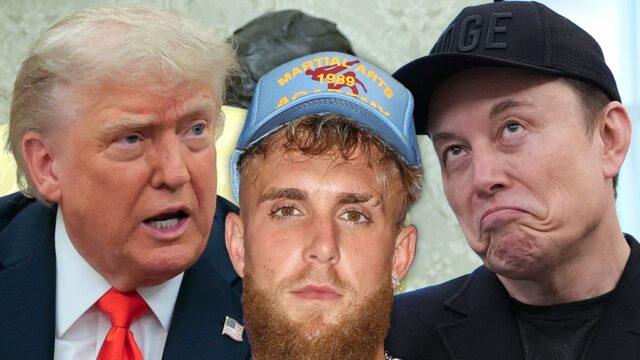Jake Paul Donald Trump Elon Musk Main Getty