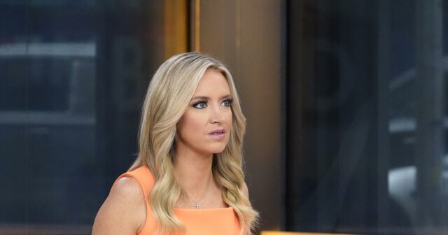 Kayleight McEnany, da Fox News, tem um novo bebê. Big Sis está encantado; Big Bro

