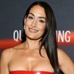 Nikki Bella e Artem Chigvintsev Uma linha do tempo de seu relacionamento de aniversário de novembro de 2022