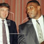 Mais popular: Donald Trump foi espancado por Mike Tyson, um boxeador japonês perdeu sua memória