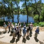 Midpen está montando para melhorar o acesso a Bear Creek Redwoods em Los Gatos