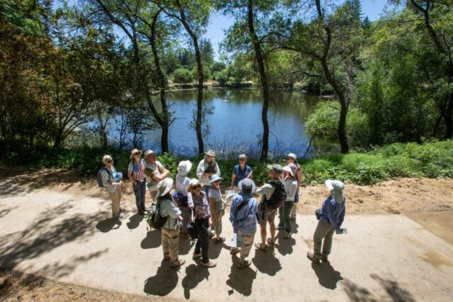 Midpen está montando para melhorar o acesso a Bear Creek Redwoods em Los Gatos

