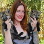 Mikayla Raines, estrela de avanços do YouTube e proponente de resgate da Fox, morre de suicídio em 29 porque o marido culpa a crítica da rede
