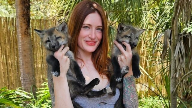 Mikayla Raines, estrela de avanços do YouTube e proponente de resgate da Fox, morre de suicídio em 29 porque o marido culpa a crítica da rede

