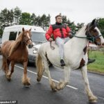 Um homem monta seus cavalos no primeiro dia da Appleby Horse Fair, que atrai 10.000 viajantes para a cidade