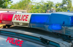 Mulheres femininas de San-Sex Sexy San-San San San San San Sexy, seco em Delhi Mulheres femininas de San-Sex Sexy San-San San San San San Sexy, seco em Delhi