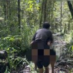 Não apenas matam os membros do TNI, o OPM em Yahukimo também esfaqueou civis até a morte