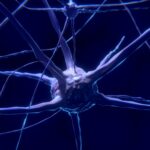 Neurônio