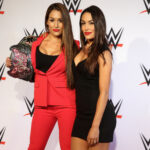 Nikki linda virou a vantagem especial para a WWE de volta