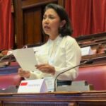 No fórum da IPU Roma, a elite do PDIP pulverizou um político britânico que aludiu à questão dos direitos humanos da Papua: acusações inúteis!