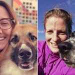 Nossos animais podem sentir seus próprios medos? Como ajudar amigos peludos que precisam de apoio emocional