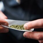 O consumo de maconha aumenta drasticamente o risco de morrer de ataques cardíacos e derrames, e grandes estudos descobrem