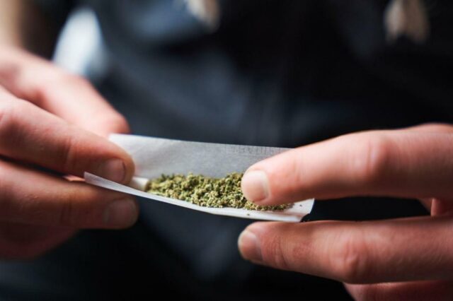 O consumo de maconha aumenta drasticamente o risco de morrer de ataques cardíacos e derrames, e grandes estudos descobrem


