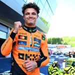 O Lando Norris, da McLaren