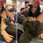 O filme selvagem mostra que o avião do passageiro agarra os cabelos de uma mulher em um estranho assustador durante o voo de Nova York: cópias