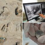 O lado funerário dos tempos viking com tesouros e presentes de elite descobertos, bem como um "caixão incomum"