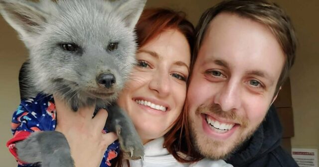 Quem é o marido de Saveafox Youtuber Mikayla Raines? Conheça Ethan Frankamp