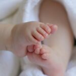 O papel do DHA e do ácido fólico: a nutrição é importante para o cérebro e o corpo do bebê do útero