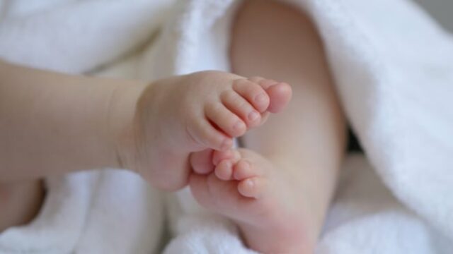 O papel do DHA e do ácido fólico: a nutrição é importante para o cérebro e o corpo do bebê do útero

