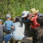 O parque de rock de alum de San Jose von 'Bioblitz' se encontrou