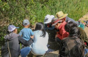 O parque de rock de alum de San Jose von ‘Bioblitz’ se encontrou O parque de rock de alum de San Jose von 'Bioblitz' se encontrou