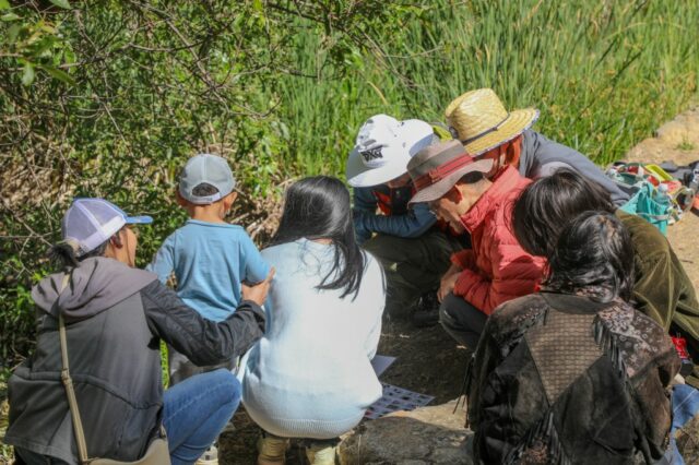 O parque de rock de alum de San Jose von 'Bioblitz' se encontrou

