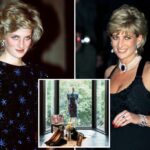 O pedido ousado da princesa Diana foi a única coisa que seu designer recusou: "Você é uma princesa"