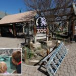 O zoológico em Denver fechou no início do sábado antes do adolescente planejado