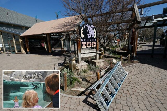 O zoológico em Denver fechou no início do sábado antes do adolescente planejado 