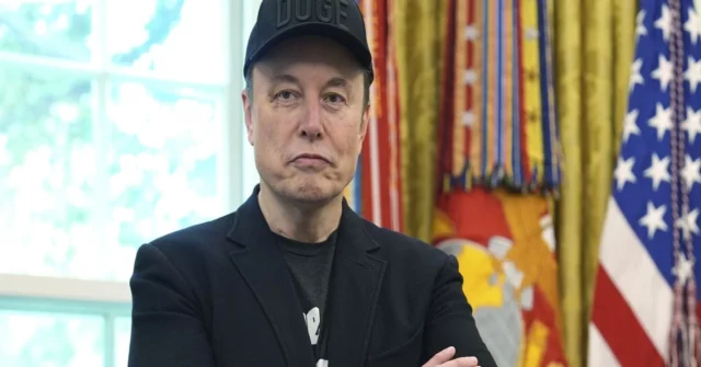 Ordem na Casa Branca. Mídia: Elon Musk lutou com o secretário do Tesouro de Donald Trump

