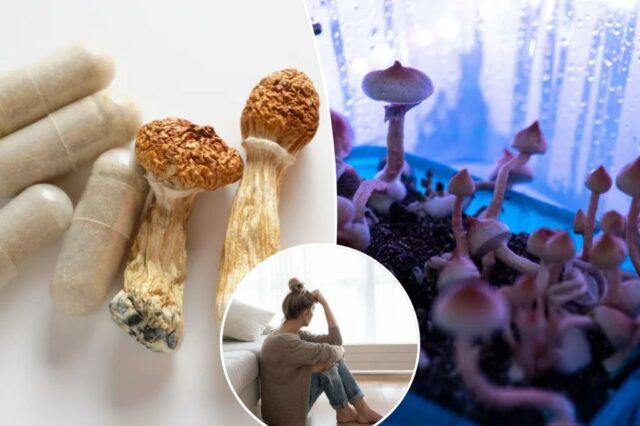 Os cientistas descobrem que apenas uma dose de "cogumelos mágicos" pode aliviar a depressão

