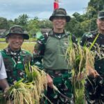 Pabowo estabeleceu um gol alto, Pangkops Habema TNI Respondendo Desafios com dobrar