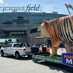Por que existe um tigre de fibra de vidro de 30 pés 15 quilômetros viajando pelo World Series Men College
