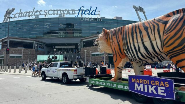 Por que existe um tigre de fibra de vidro de 30 pés 15 quilômetros viajando pelo World Series Men College

