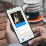 Qlango faz do aprendizado um novo prazer de linguagem - £ 26 para a vida