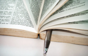 Qual é a palavra correta? Qual é a palavra correta?