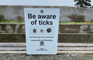 Quão perto estamos ao obter uma vacina para a doença de Lyme? Um homem recebe uma injeção de uma enfermeira.