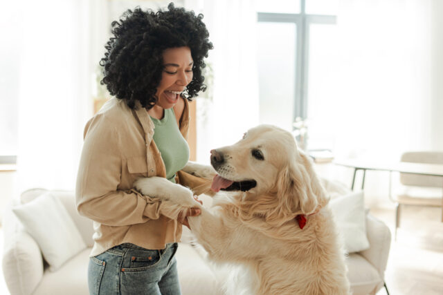 Quem é o dono de um cachorro diz sobre você, de acordo com um psicoterapeto

