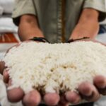 Registro de impressão, projeção da FAO da produção de arroz indonésia atinge 35,6 milhões de toneladas