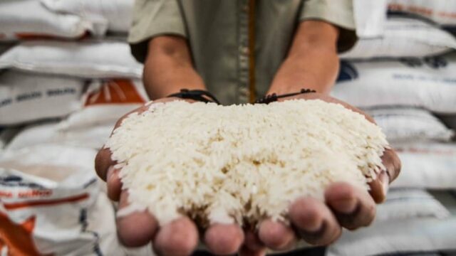 Registro de impressão, projeção da FAO da produção de arroz indonésia atinge 35,6 milhões de toneladas

