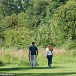 Caminhantes para o sol de manhã cedo na floresta em Oxfordshire hoje