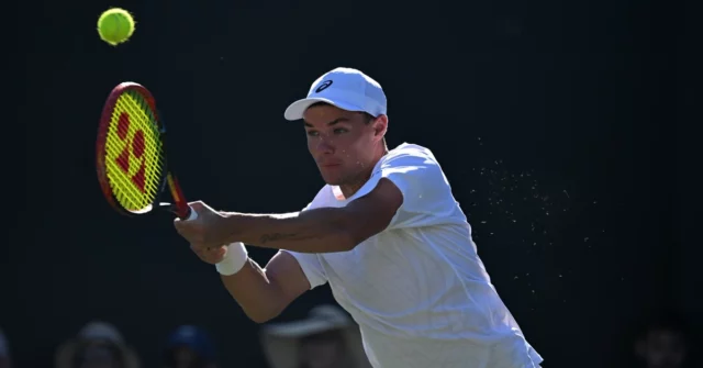 Sentindo -se em Wimbledon! Majchrzak eliminou as finais de 2021

