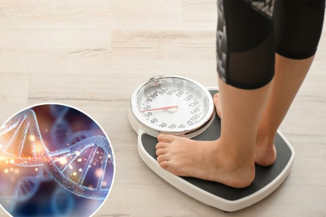 Seu DNA pode impedi -lo de perder peso, sugere um novo teste

