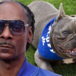 Snoop Dogg e Dog Insta Getti 1