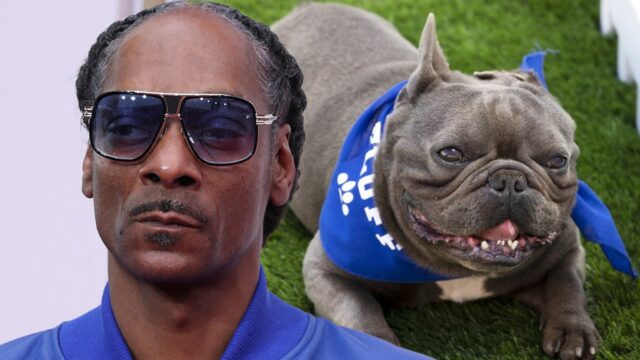 Snoop Dogg e Dog Insta Getti 1