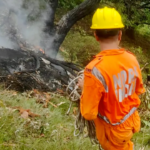 UTARHAKS: Crash helicopterado perto do cedro, todas as sete pessoas mortas