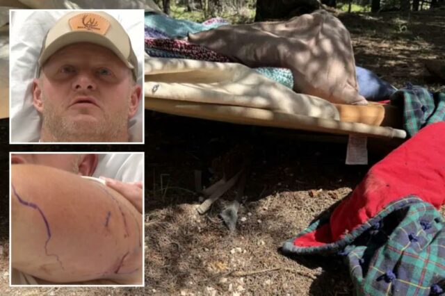 Um trabalhador da construção civil em Utah luta com um urso preto "louco" durante o ataque de acampamento: relatório

