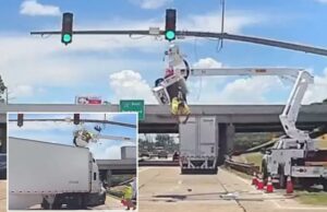 Vídeo selvagem mostra que um funcionário da ferramenta pega Vídeo selvagem mostra que um funcionário da ferramenta pega