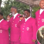 Quatro homens em ternos rosa combinando cantando em microfones.